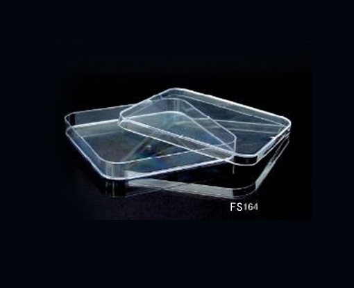 通辽13×13cm培养皿